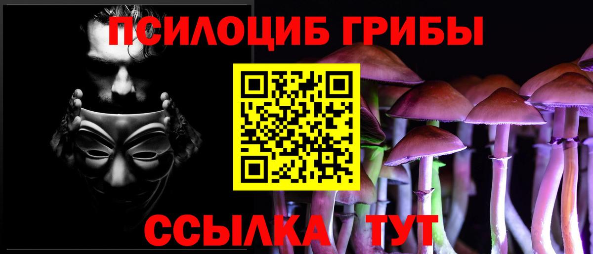 Псилоцибиновые грибы Psilocybe Тара
